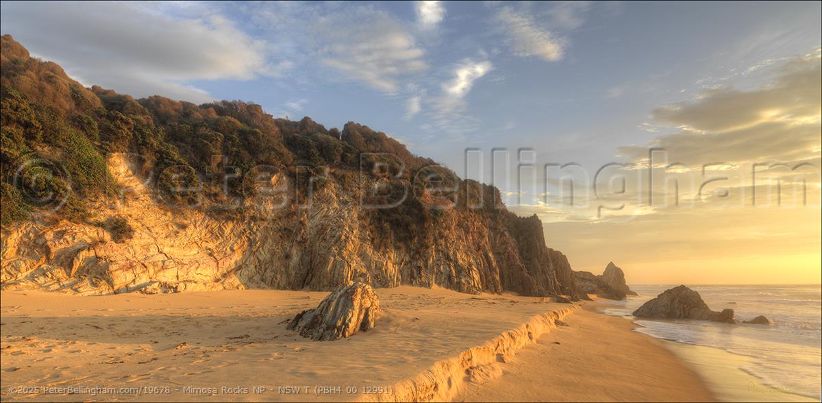Peter Bellingham Photography Mimosa Rocks NP - NSW T (PBH4 00 12991)